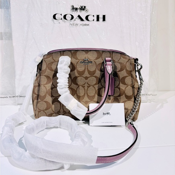 NWT! COACH Mini Sage Carryall - Picture 1 of 6